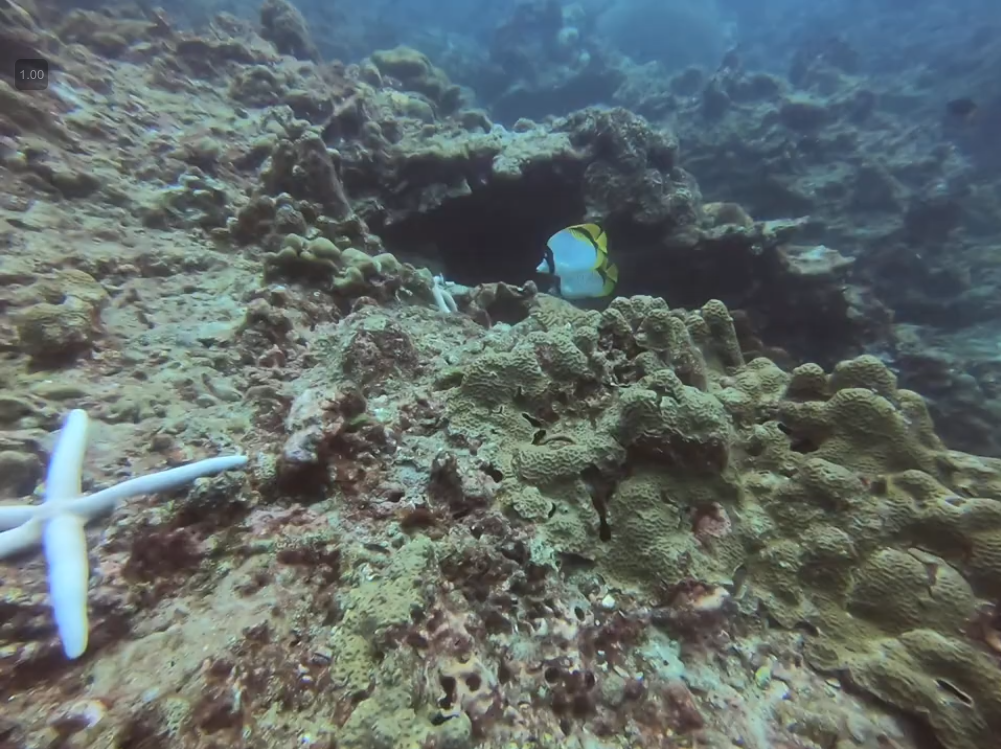 Koh Haa with Andaman Dive Adventure