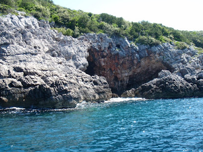 People's Diving Club