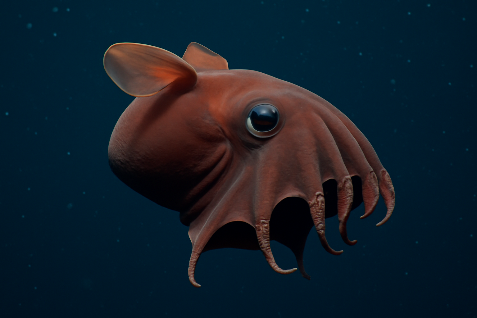 Vampire Squid