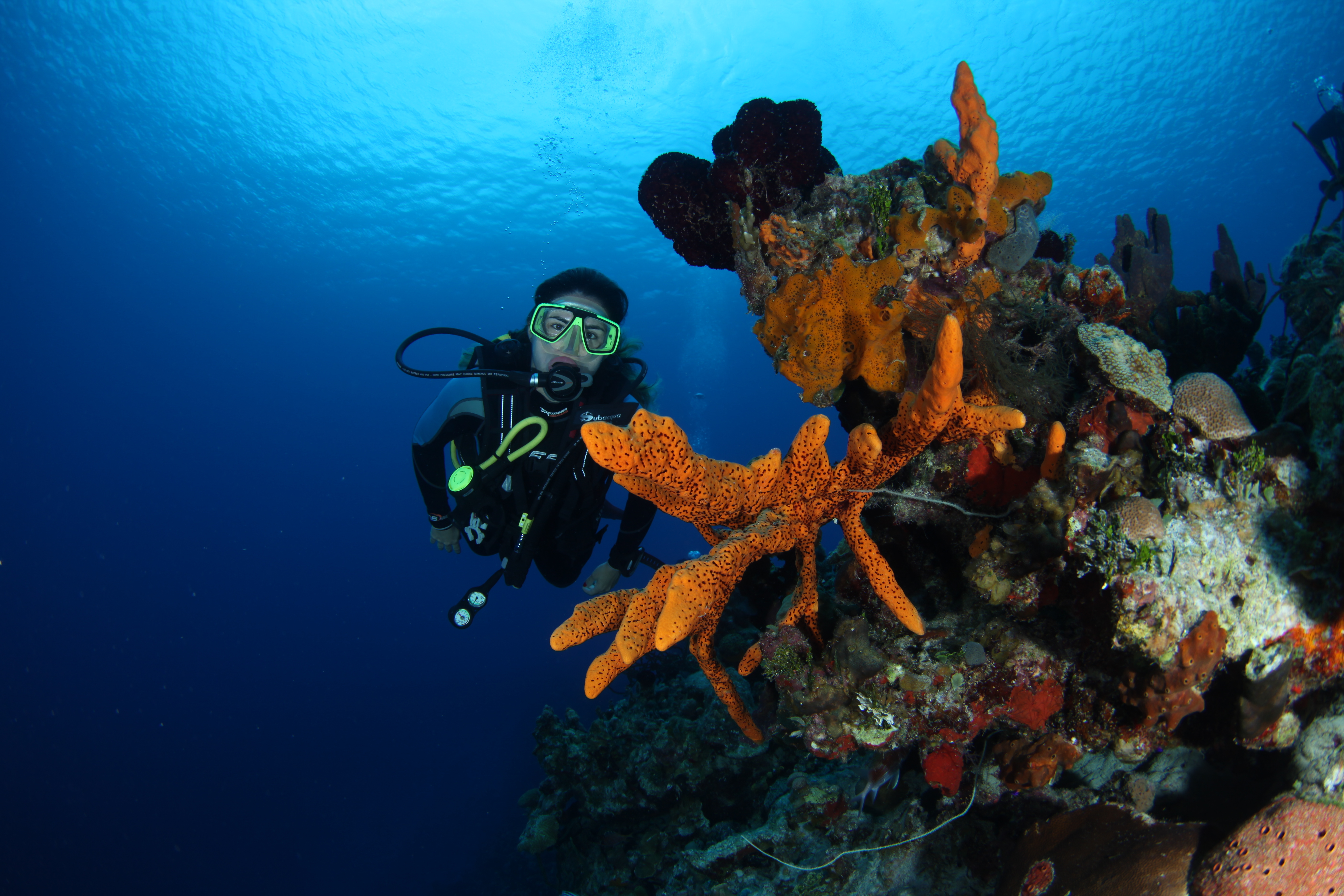Atlantis Varadero Scuba Diving Center