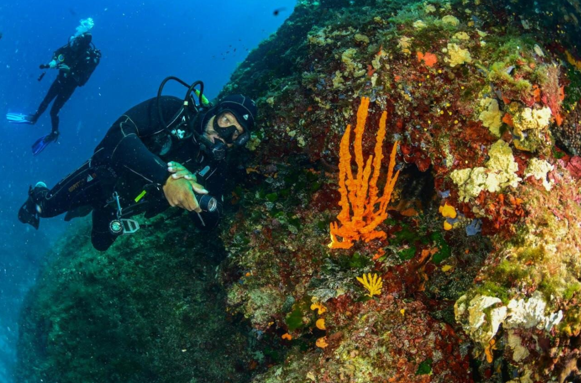 Diving Center Viking