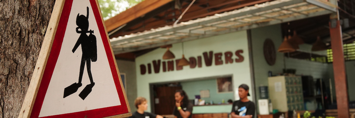 Divine Divers