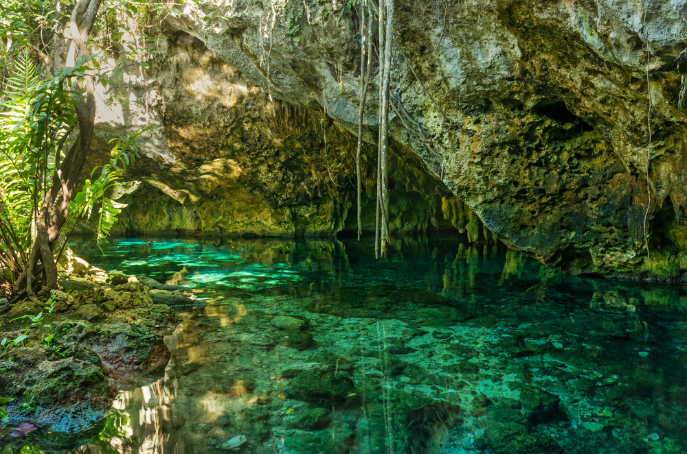 Cenotes of the Yucatan Peninsula