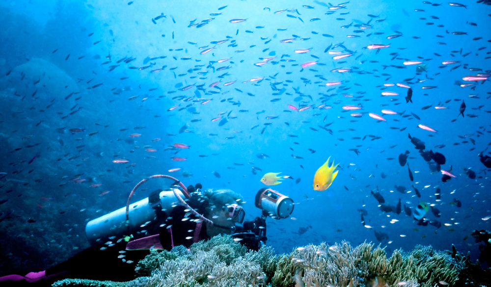 Beqa Lagoon