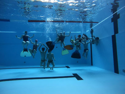 Club Swimming Les Dauphins