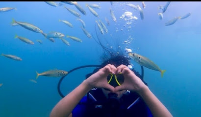 Scuba With Atri