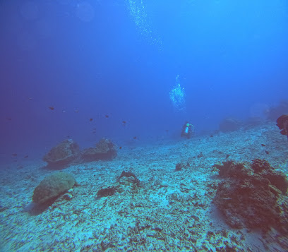 Shark Point Dive Spot