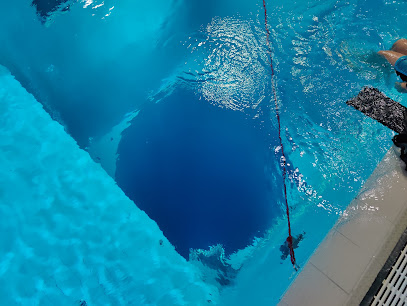 Nemo 33
