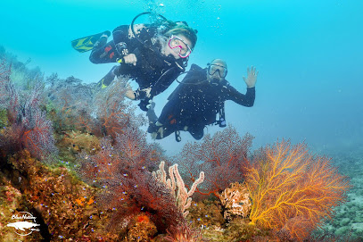 Blue Nation Diving
